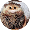 Valentina Yatar profile picture